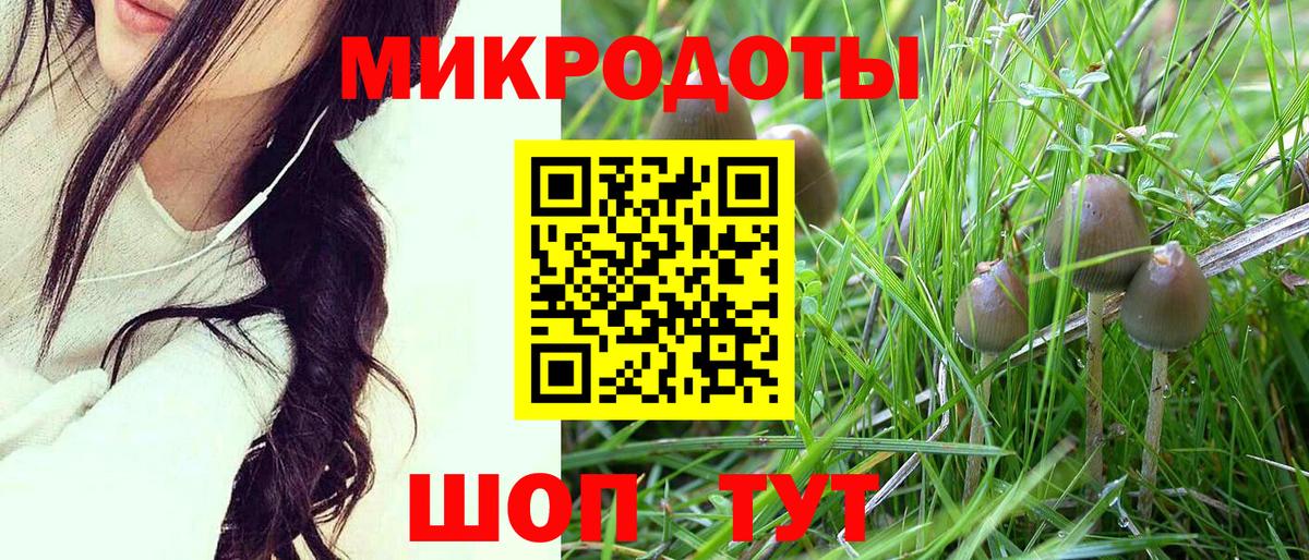 Псилоцибиновые грибы Magic Shrooms Асино