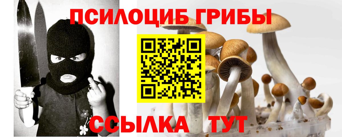 Асино  Галлюциногенные грибы мицелий  Вход с VPN 